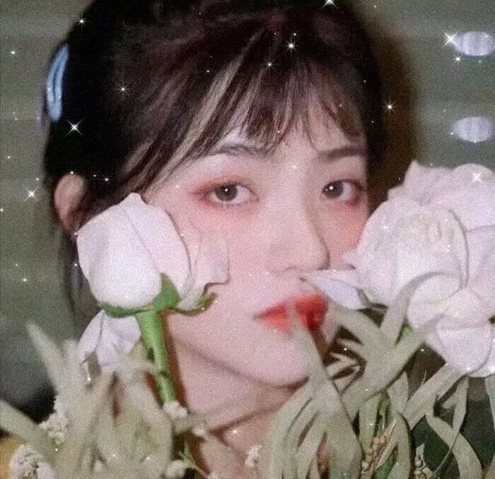 姜戈与姜戈
